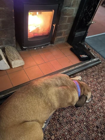 About The New Plough Inn